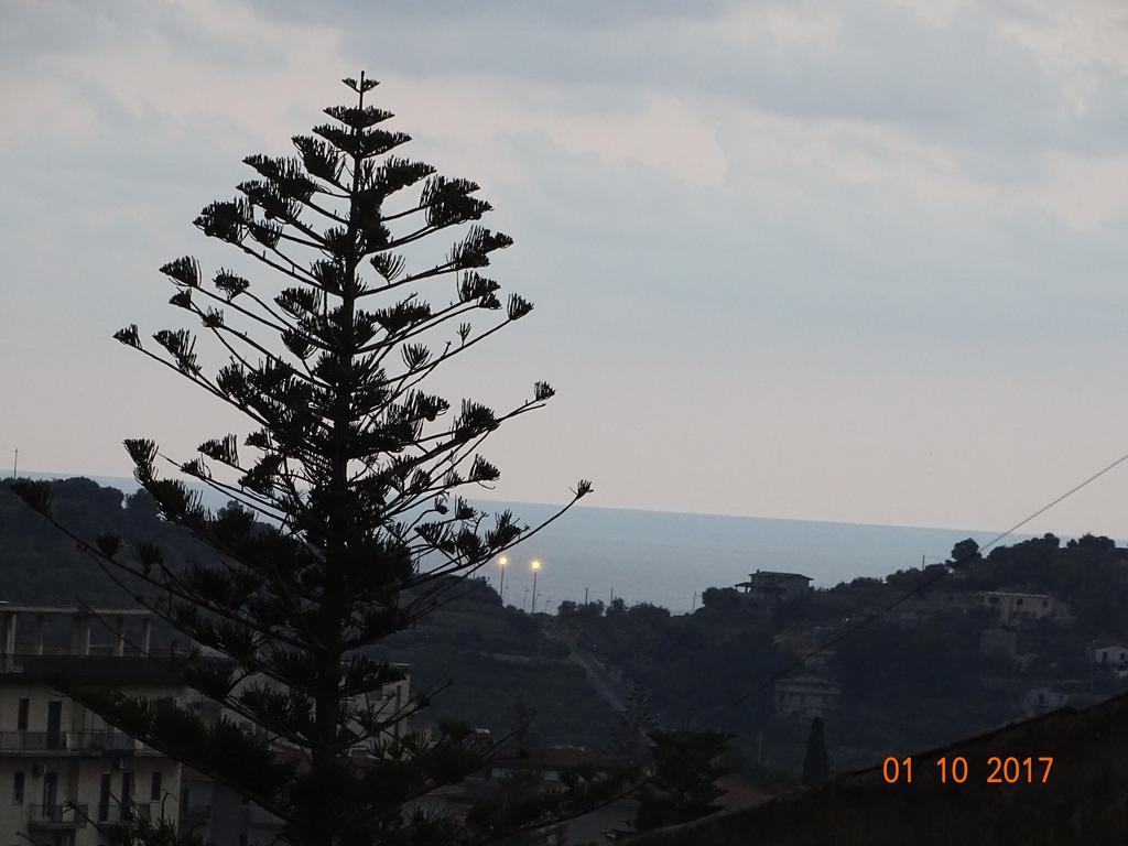 Vinci Noto