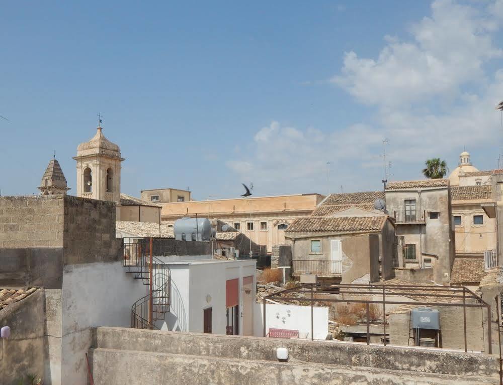 Vinci Noto